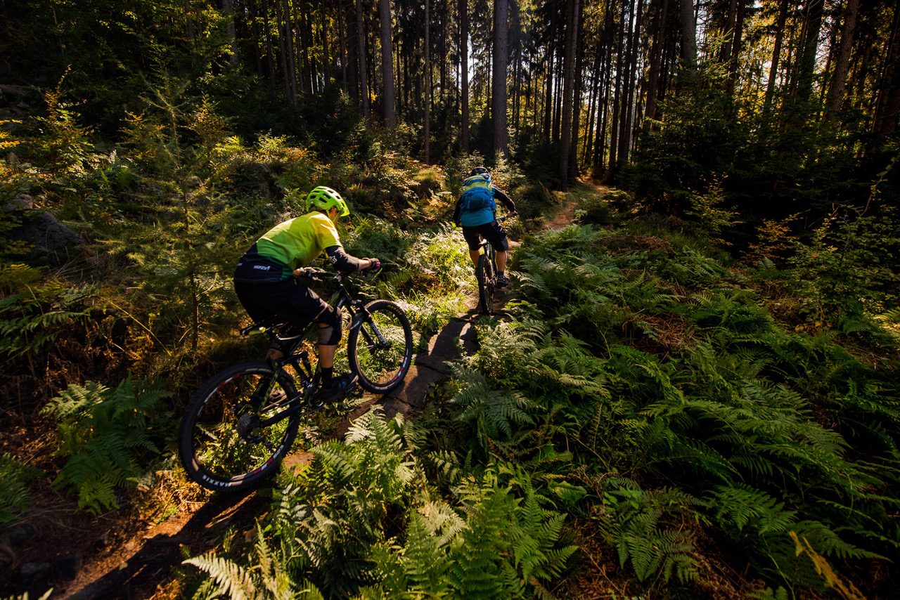 Trutnov Trails