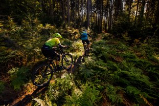 Trutnov Trails vstupují do své 5. sezóny s online půjčovnou kol QAYRON