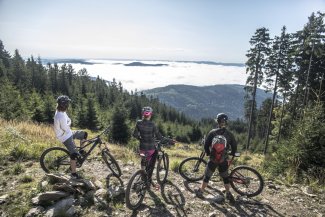 Trail Park Klínovec nově půjčuje přes Rezervátor kola v balíčku i s lanovkou